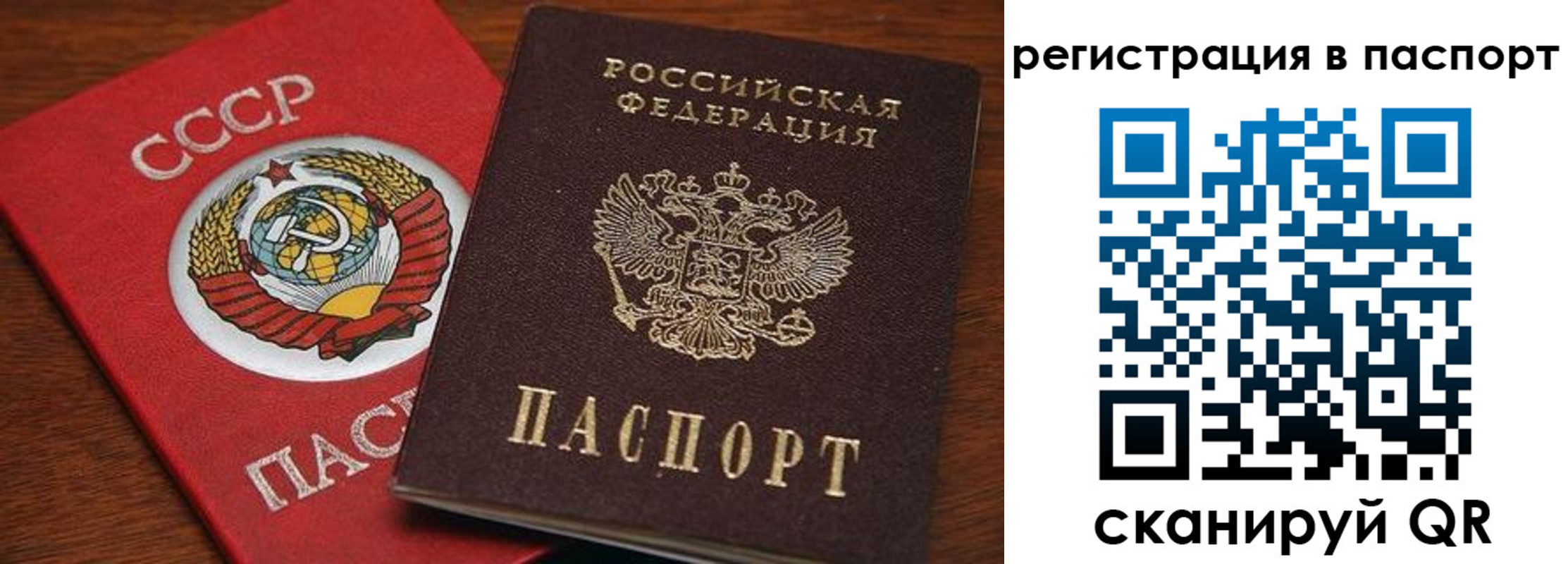 прописка в квартире в Ртищево